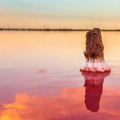 BET体育365投注官网app下载