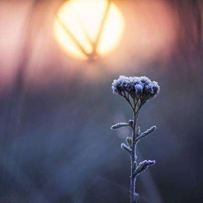 江南足球appapp下载截图