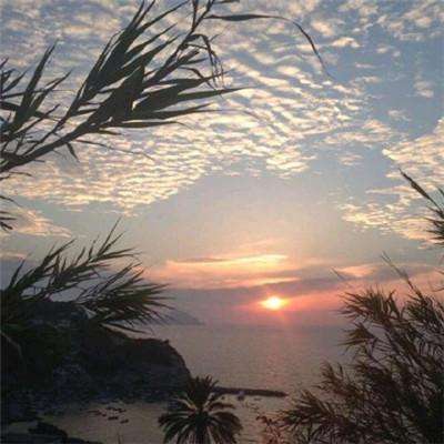 pk10赛车下载手机版