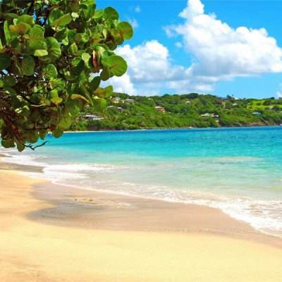 im电竞官网注册