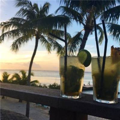 pk10赛车下载手机版