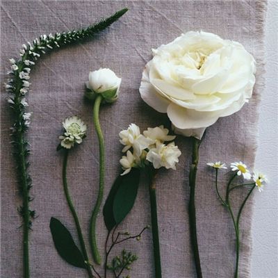 宝威体育官网下载手机版