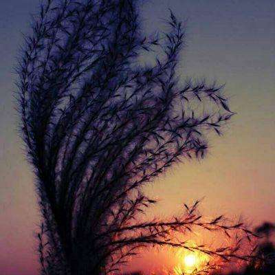 天博体育官网入口下载手机版