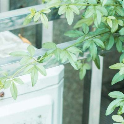 bet韦德官方网站