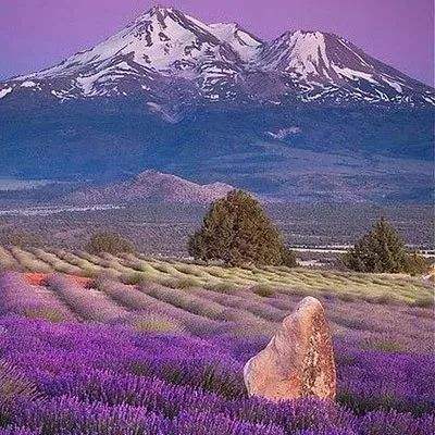 2023管家婆资料正版大全澳门