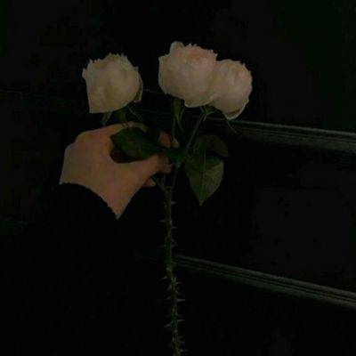 足球竞彩app手机app下载